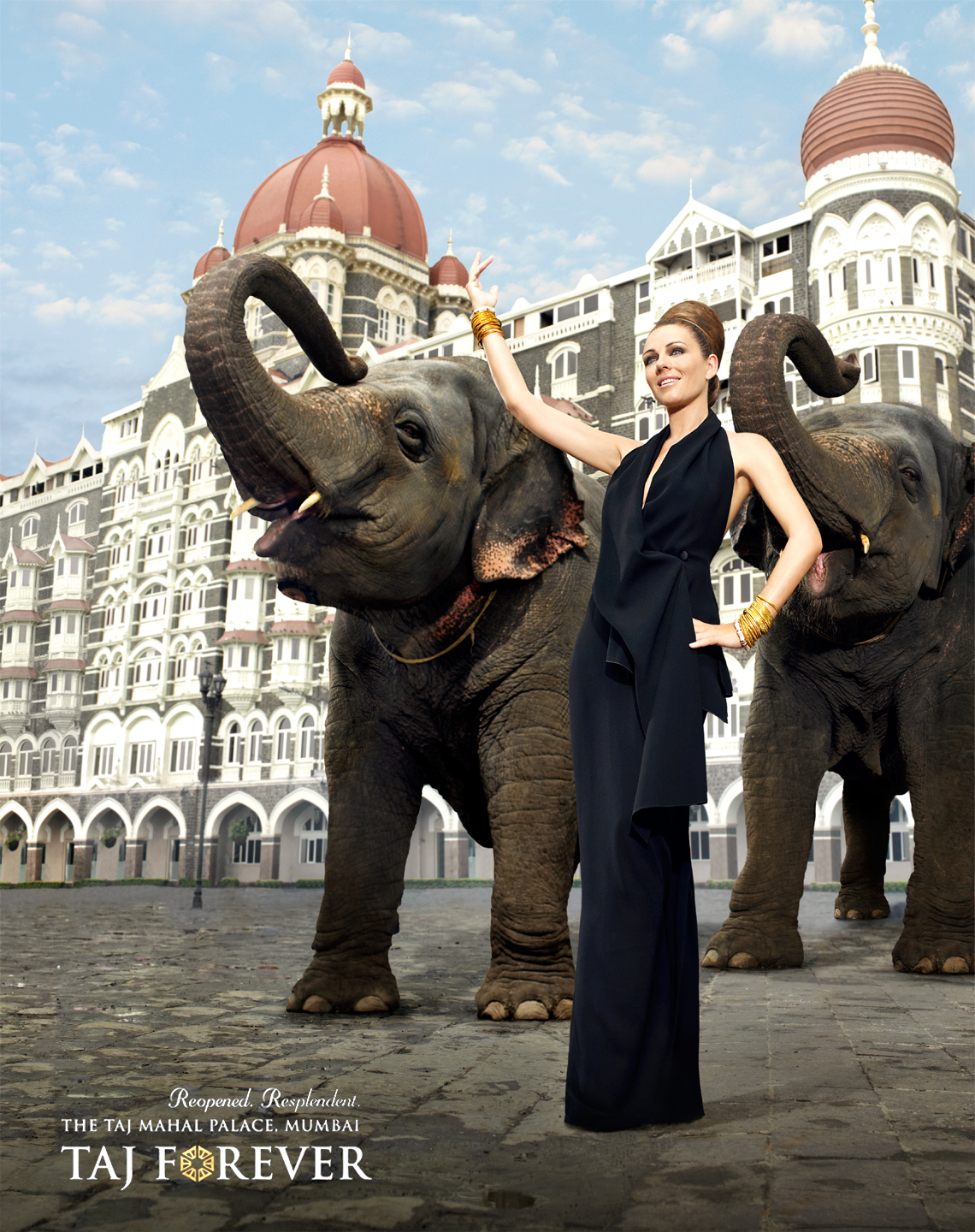 Elephant_Comp_EH_shortened_color_WEBSITE_final.jpg